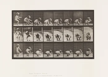 Tavola 477. Bambino, chinarsi, sollevare un calice e bere