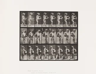 Bambino, spruzzare acqua sui fiori