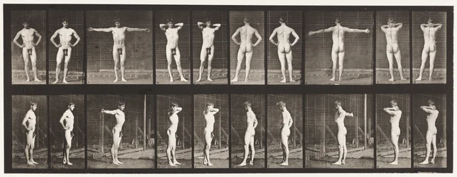 Tavola 529. Varie pose
