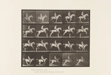 Tavola 642. Salto di un ostacolo; Sella; Cavaliere, 105, Nudo; giumenta grigia, 1885