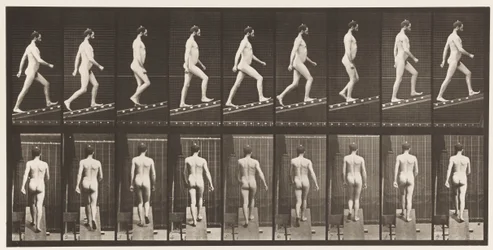 Tavola 75. Salire una pendenza, angolo 1 su 4