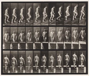 Tavola 88. Salire le scale