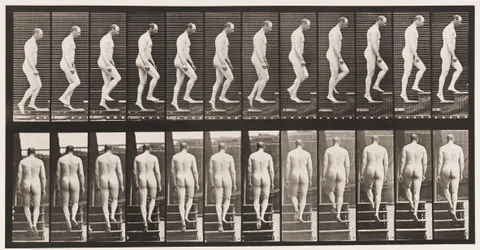 Tavola 89. Salita delle scale