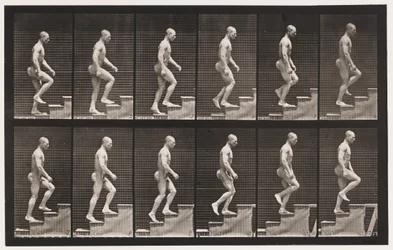 Tavola 91. Salita delle scale
