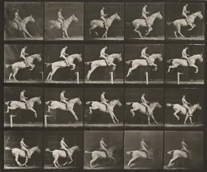 Tavola numero 642. "Pandora" salta un ostacolo, sellata; cavaliere nudo