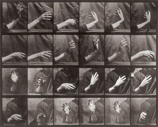 Sequenza con movimento della mano, tavola 535 da Animal Locomotion