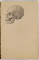 Libro di schizzi di anatomia