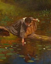 Raccolta di gigli