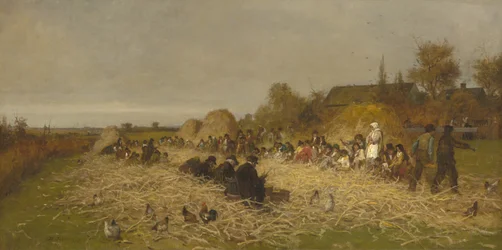 Festa della sgranatura, Isola di Nantucket, 1876
