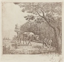 Quattro uomini e un toro