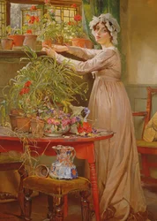 Sistemare i fiori