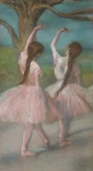 Ballerini in rosa