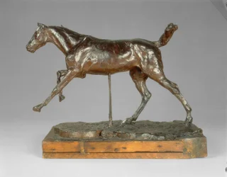 Cavallo al galoppo sul piede destro