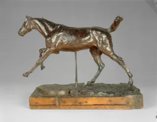 Cavallo al Galoppo sul Piede Destro, fine 1880