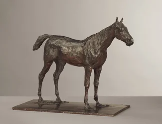 Cavallo in piedi