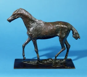 Cavallo al passo