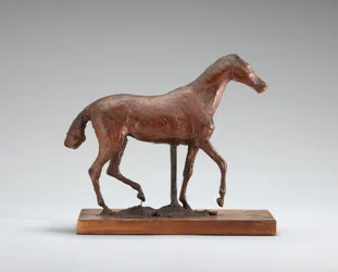Cavallo che cammina