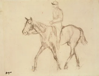 Cavallo e fantino