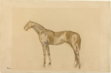 Cavallo, c. 1890