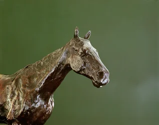 Testa di cavallo (bronzo) (dettaglio)