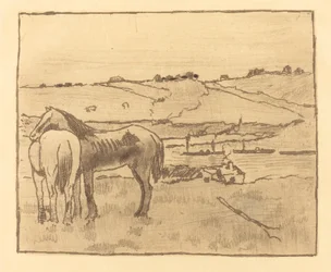 Cavalli nel Prato (Chevaux dans la prairie)