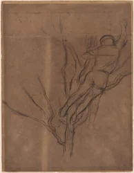 Uomo che Potatura un Albero