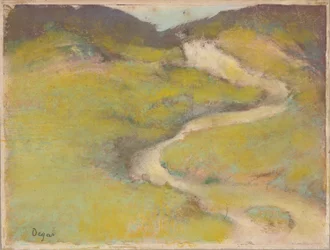 Sentiero in un campo