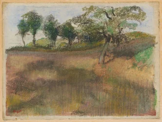 Campo arato delimitato da alberi