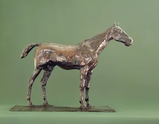 Cavallo in piedi
