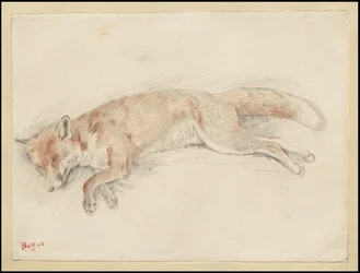 Studio per "Volpe morta nella foresta"