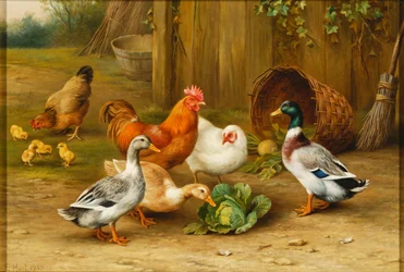 Anatre e polli in un cortile