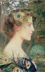 Profilo di pavone