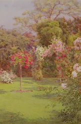 Un giardino di rose