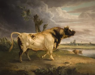 Un toro premiato