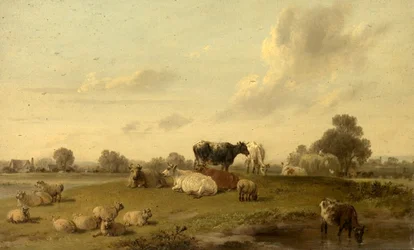 Paesaggio con bovini e pecore