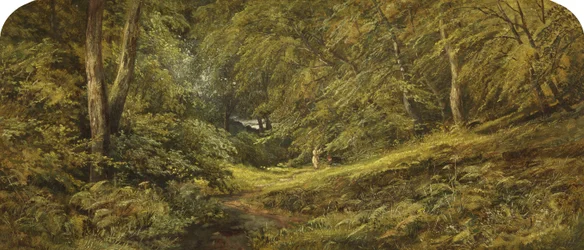 Schizzo - Nel bosco