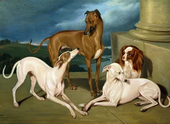 Levrieri e un King Spaniel, 1837
