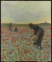 Ragazze in un campo di papaveri