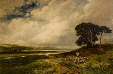Paesaggio con pecore
