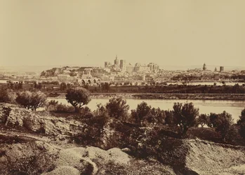 Avignone