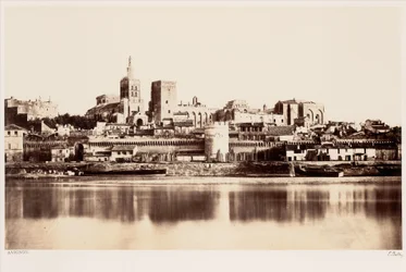 Avignone