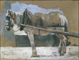 Cavallo bardato