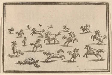 Cavalli al Galoppo