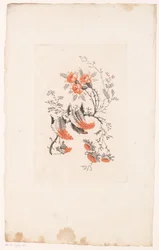 Fiori fantastici (Fleurs Idéales)