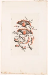 Fiori a ventaglio
