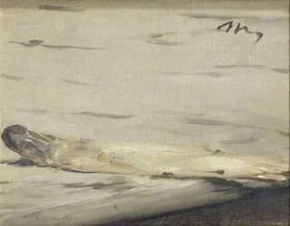 Asparagi, 1880