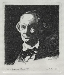 Charles Baudelaire, 1869