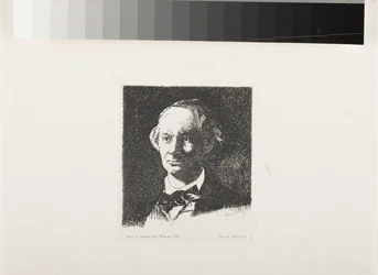 Charles Baudelaire, volto intero III