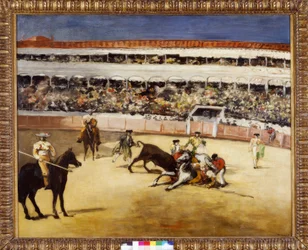 Combattimento di tori