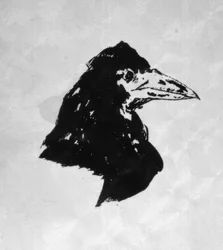 Il corvo